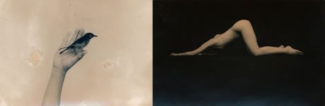 Masao Yamamoto Masao Yamamoto