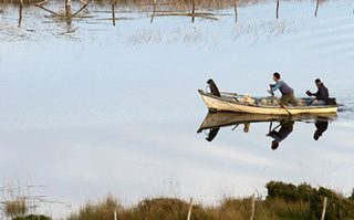 José y Rubén salen a buscar leña para su cocina" title="José y Rubén salen a buscar leña para su cocina